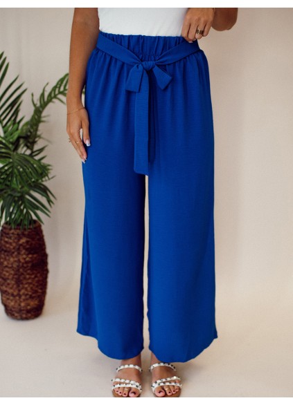 Blue Belt Wide Leg Pants
